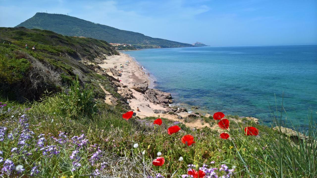Villa Vista Mare Валледорія Екстер'єр фото